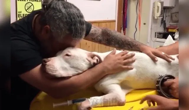 Video es viral en Facebook. El dueño del can rompió en llanto y protagonizó una conmovedora escena al darle el último adiós a su fiel perro que lo había acompañado por 14 años