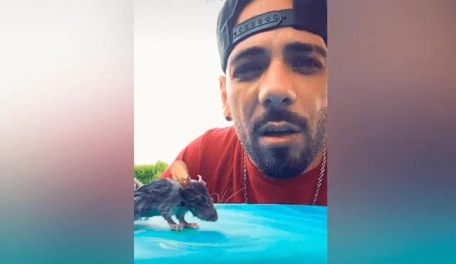 Desliza las imágenes para ver el dramático rescate que hizo un joven a un ratón que se estaba ahogando en una piscina. Foto: Mag Demon/TikTok