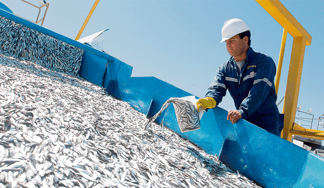 Pesca: crecerá la exportación, pero no el consumo interno