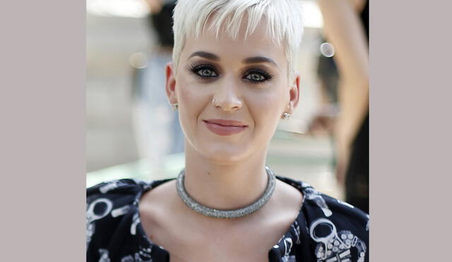 A la cárcel acosador de Katy Perry