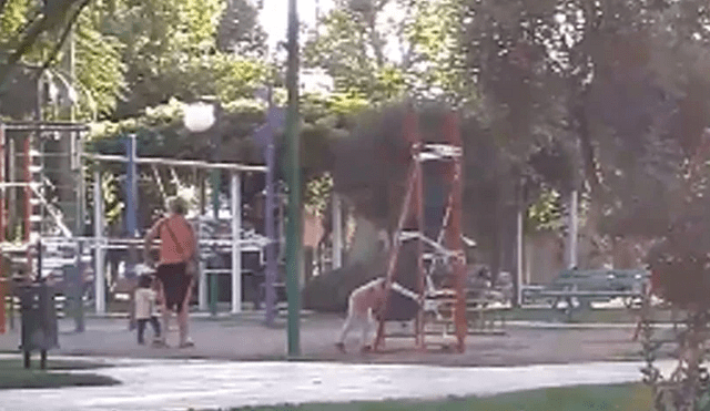 A pocas horas de haberse decretado la emergencia sanitaria en Mendoza, Argentina, la mujer ingresó con sus hijos  a un parque ya clausurado. (Foto: captura)