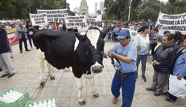Dictamen sobre ley de leche no perjudica a ganaderos