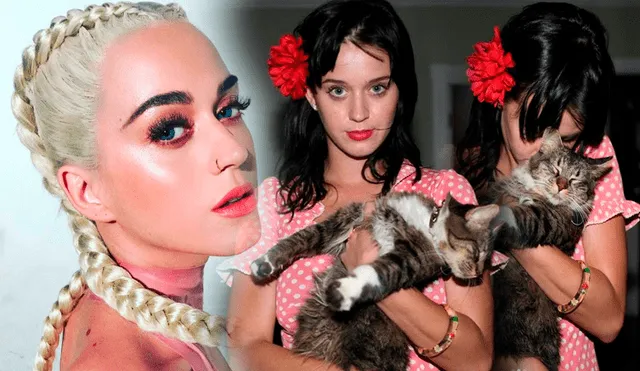 Katy Perry de luto por la muerte de su gatita Kitty Purry