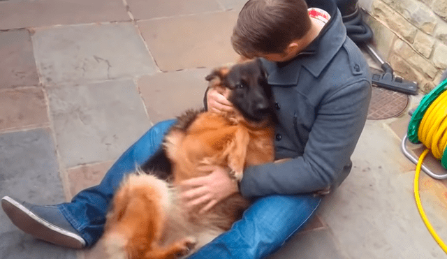 YouTube viral: perro se reencuentra con su dueño que lo cuidó de bebé y reacción del animal conmueve [VIDEO]