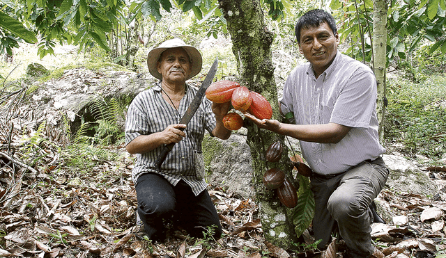 Invierten US$ 200 mil en fábrica de chocolates de la selva central
