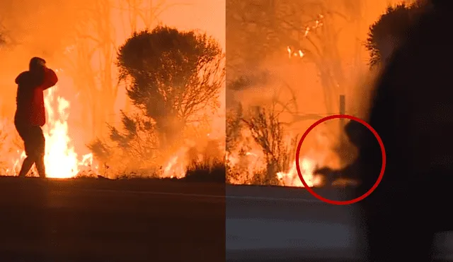 YouTube: joven arriesga su vida para salvar a un conejo de infernal incendio [VIDEO]