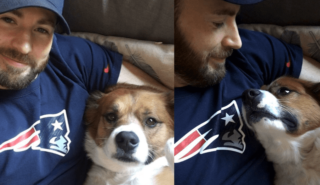 Chris Evans quiso realizar una nueva actividad con su mascota Dodger pero terminó arruinando el pelaje del can. (Foto: Difusión)