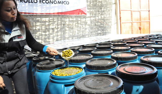 La aceituna es uno de los productos que más se envió al mercado exterior desde Tacna. Foto: Archivo La República