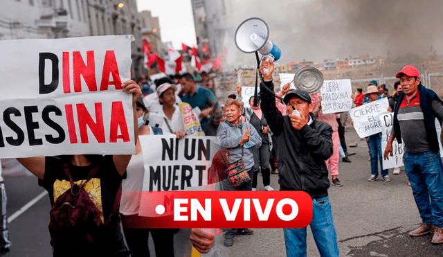 El Perú vive un clima tenso por las manifestaciones que se vienen dando en casi todo el país. Foto: composición RL/Infobae/La República