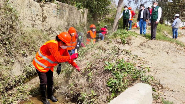 Mujeres líderes trabajarán en mantenimiento de canales de riego y drenes en La Libertad. Prensa Ana.