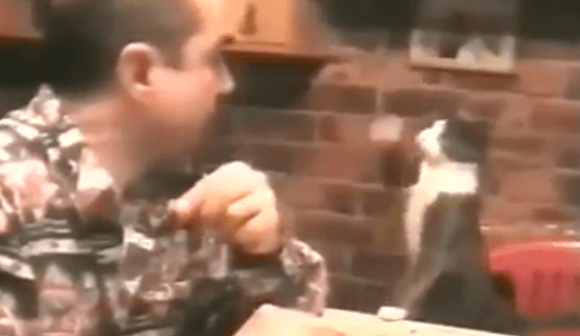 YouTube viral: Gato aprende lenguaje de señas para pedirle comida a su amo sordo 