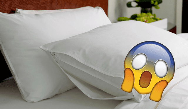 Twitter: Hombre fue troleado al recibir almohada que compró en Amazon