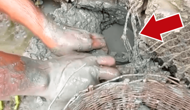 Facebook viral: descubre extraños peces tras introducir sus manos en fosa de lodo [VIDEO]