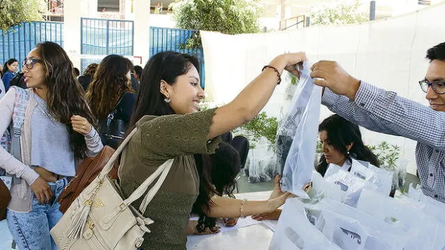 En Arequipa, darán descuentos a postulantes y estudiantes que cuiden los árboles