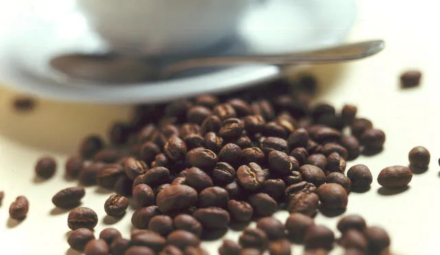Sustituyen 15 mil hectáreas de café por otros cultivos en el VRAEM