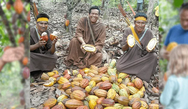 Junín: Pangoa celebra el festival más importante del cacao y sus derivados