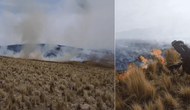 Incendio forestal en Cusco. Foto: Difusión