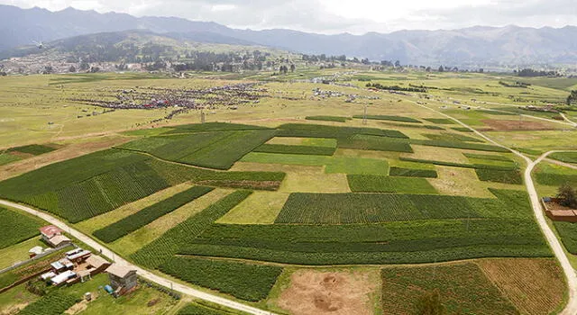Colegio de Ingenieros de Cusco demanda cronograma de movimientos de tierras