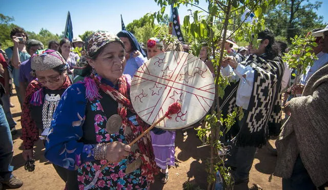 Encuentran muerto a un líder de la comunidad mapuche en Ercilla