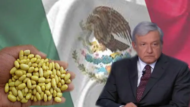 México: AMLO inicia plan de control de precios a productos básicos