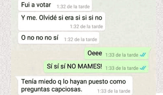 WhatsApp: peruana reveló que gracias al remix 'Cállese viejo lesbiano' supo cómo votar en el referéndum [FOTOS]