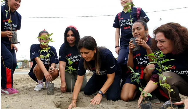 Voluntarios sembraron cientos de árboles en Arequipa, Cusco, Tacna y Puno