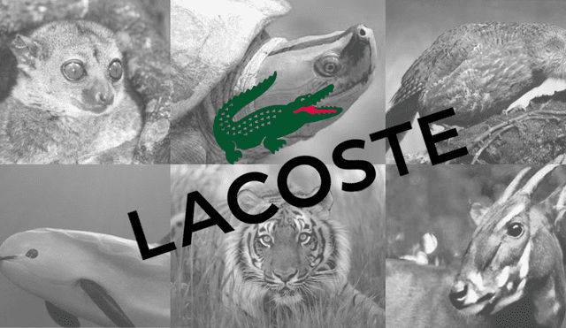 Lacoste reemplaza su cocodrilo por animales en extinción [VIDEO]