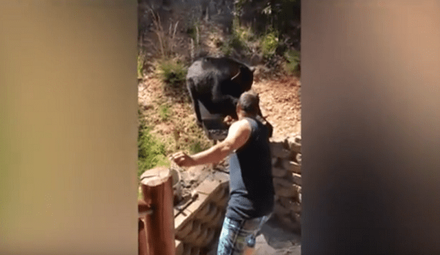 YouTube: hombre se enfrenta a oso que intentó robar su comida y el desenlace sorprende a todos [VIDEO]