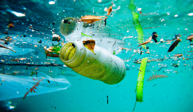 En el día del Medio Ambiente se debate el predictamen de plástico