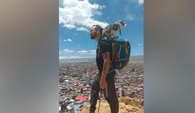 Facebook viral: conoce a ‘Bella’, el gato mochilero que viaja con su dueño por todo el mundo