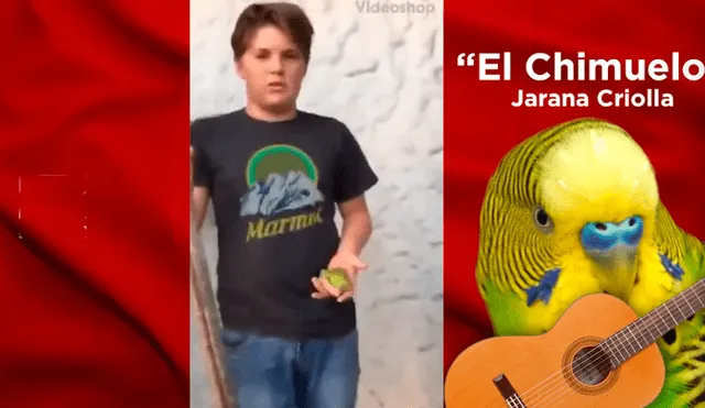 Facebook: ‘Adiós Chimuelo’ en versión criolla emociona a miles de peruanos [VIDEO]