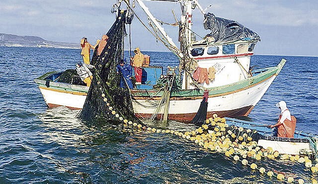 Biomasa de especies marinas disminuyó en  50% en Lambayeque