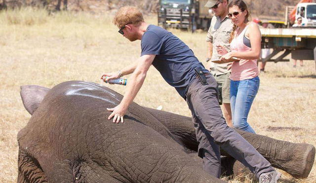 Prínicipe Harry se molesta con periodista durante gira por África