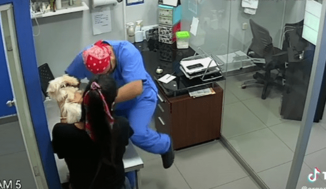 Video es viral en Facebook. El felino no soportó ver el sufrimiento del can mientras era vacunado por un veterinario y se acercó a él para intentar alejarlo con inesperada conducta.