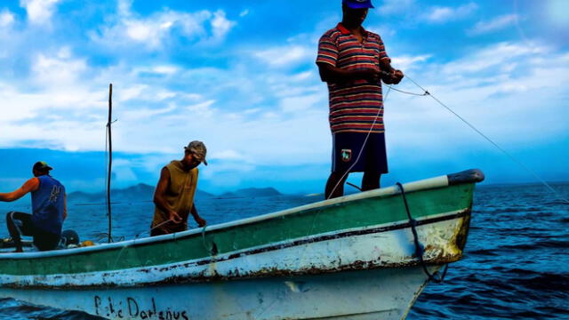 FAO: Países de América Latina deberían regular la pesca artesanal, Economía