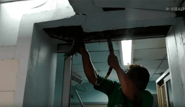 Descubre extraña pata colgando del techo de hospital, se acerca y saca lo inesperado [VIDEO] 