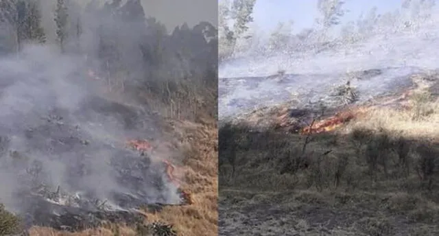 Cusco: Madre e hija provocan incendio forestal