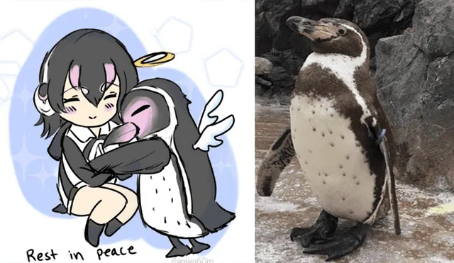En Twitter conmueve la triste historia de un pingüino que se enamoró de quien no debía [FOTOS]