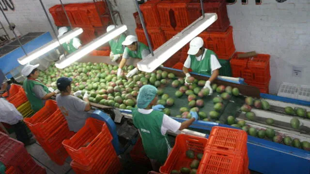 Empresas agroindustriales continúan operando en Piura.