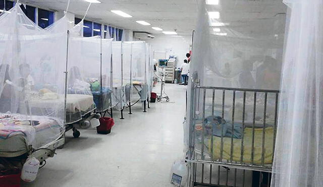 Salud confirma 15 casos de pacientes con chikungunya y dengue a la vez 