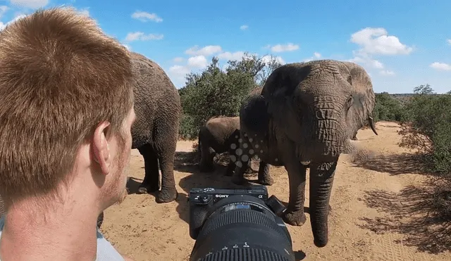 Desliza hacia la izquierda para el encuentro de un turista con leones de África. El video es viral en YouTube.