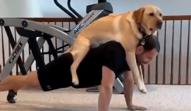 Desliza a la izquierda para ver el divertido entrenamiento que realiza un hombre junto a su mascota. (Foto: captura)