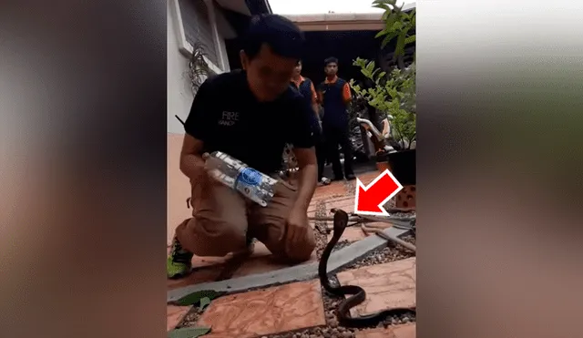 Chico intenta meter peligrosa serpiente en botella de plástico, sin imaginar lo que pasaría [VIDEO]