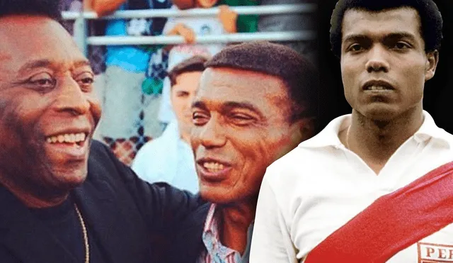Teófilo Cubillas: qué fue del futbolista peruano leyenda de Alianza Lima y al que Pelé nombró cómo su sucesor | El Nene | hijos | Deportes | La República