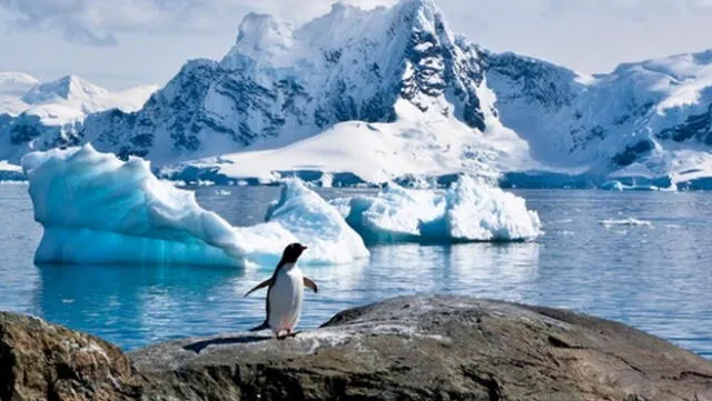 Adiós a la creación de la mayor reserva marina del mundo en la Antártida