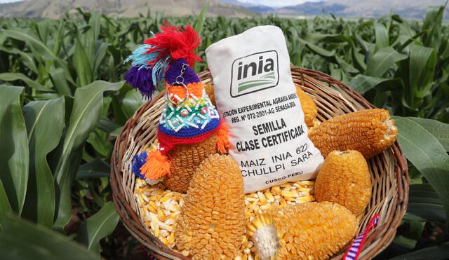 Nueva variedad de maíz