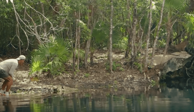 Desliza hacia la izquierda para ver el encuentro de un turista con un feroz animal, escena viral de YouTube.