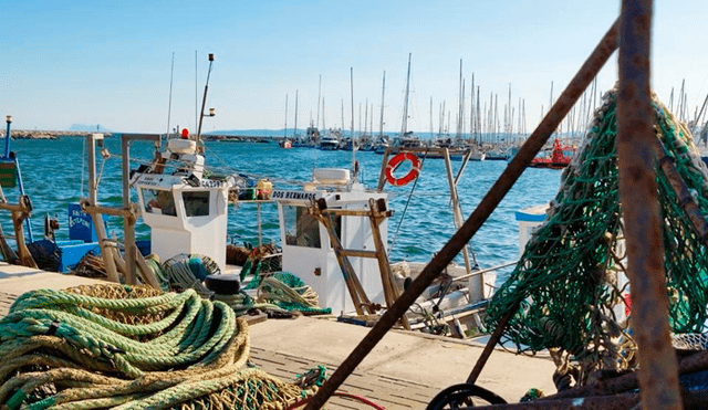 El puerto de Estepona, donde estaba preparada una ambulancia para movilizar al náufrago a un centro médico. Foto: La Vanguardia