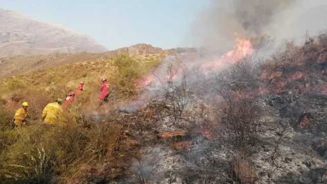 Brigadas y bomberos realizaron denodados esfuerzos para acabar con el fuego.