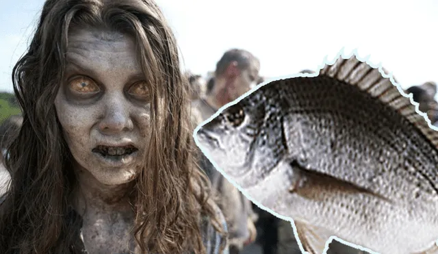 YouTube viral: descubren aterrador pez zombie y usuarios creen que llega de ‘The Walking Dead’ [VIDEO]